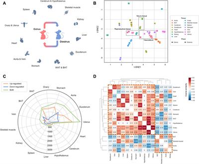 A multi-tissue transcriptomic landscape of female mice in estrus and diestrus provides clues for precision medicine